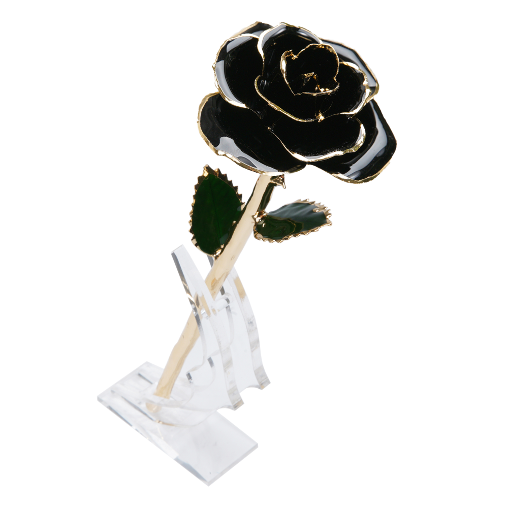 24K Gold Dipped Rose – Black